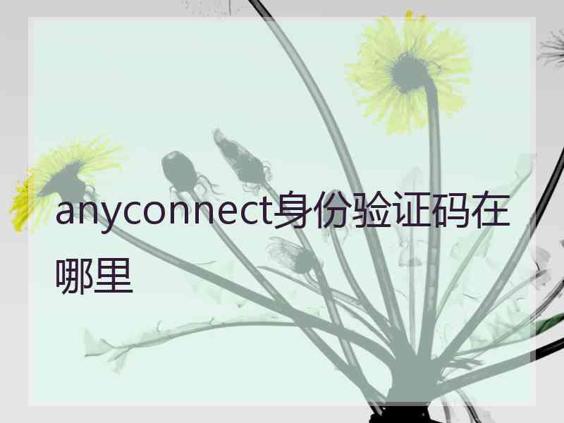 anyconnect身份验证码在哪里