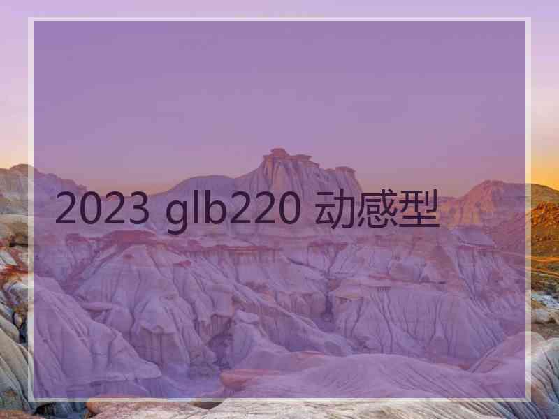 2023 glb220 动感型