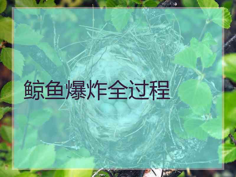 鲸鱼爆炸全过程