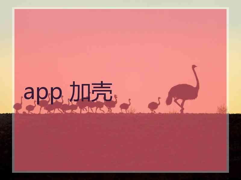 app 加壳