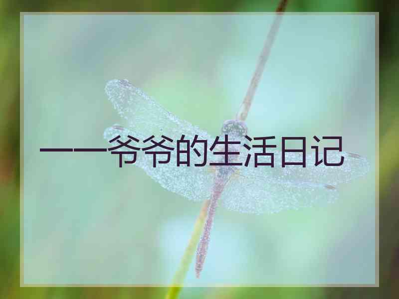 一一爷爷的生活日记