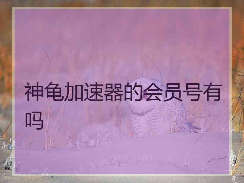 神龟加速器的会员号有吗