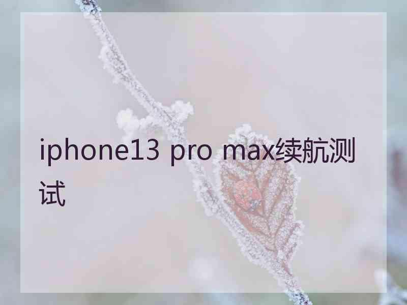 iphone13 pro max续航测试