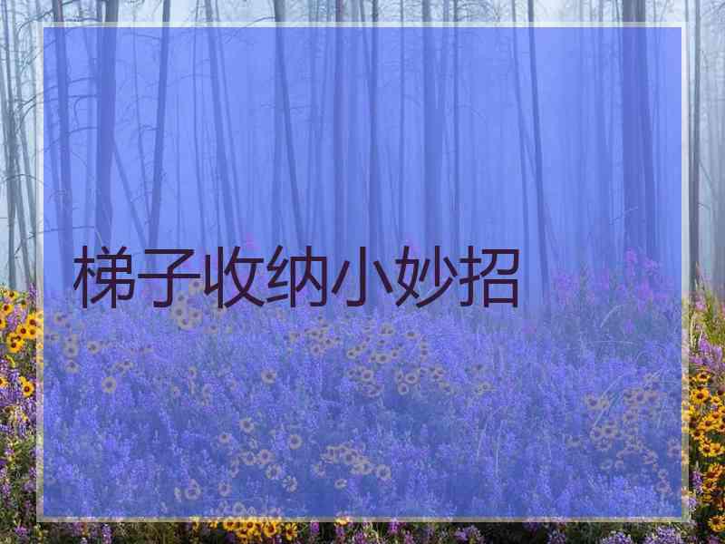 梯子收纳小妙招