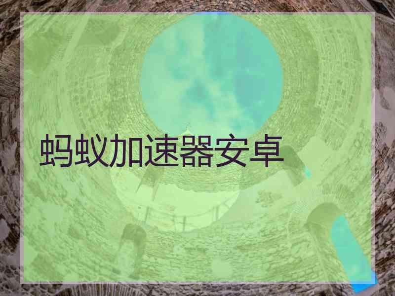 蚂蚁加速器安卓