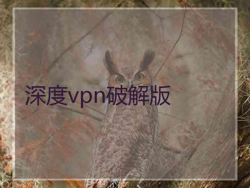 深度vpn破解版