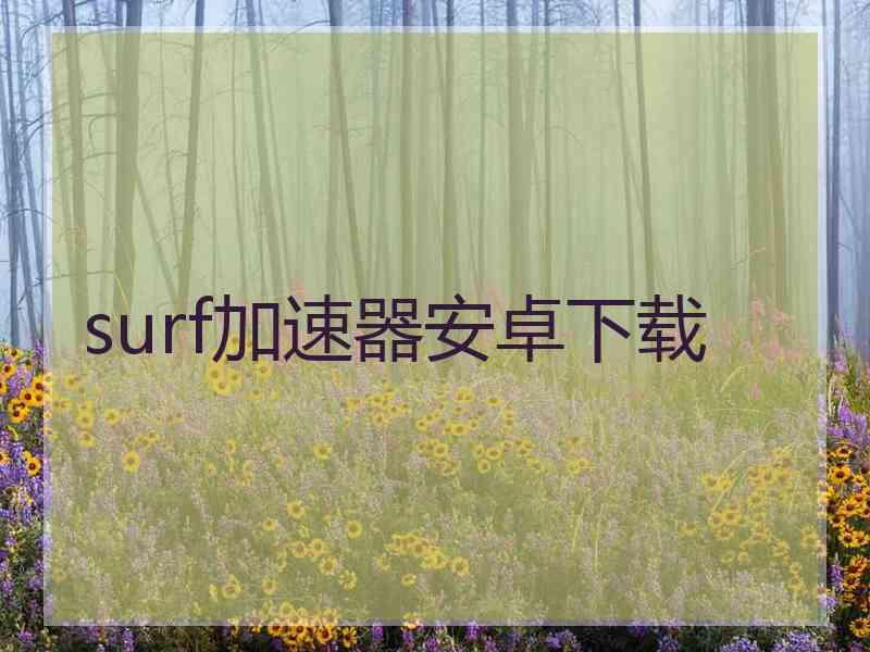 surf加速器安卓下载