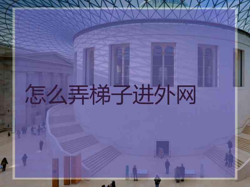 怎么弄梯子进外网