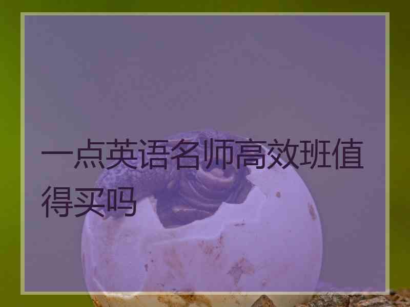 一点英语名师高效班值得买吗
