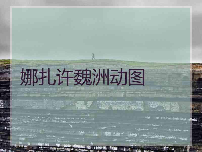 娜扎许魏洲动图