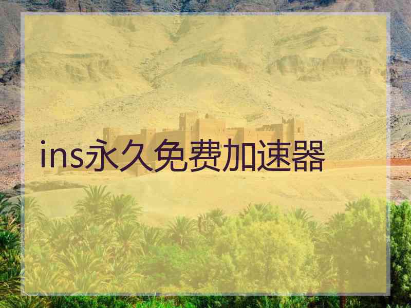 ins永久免费加速器