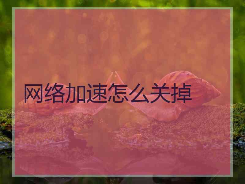 网络加速怎么关掉