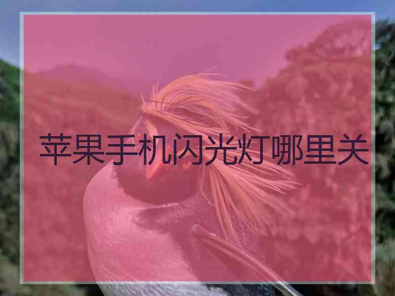 苹果手机闪光灯哪里关
