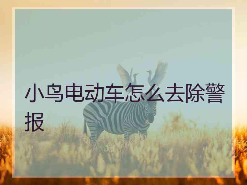 小鸟电动车怎么去除警报