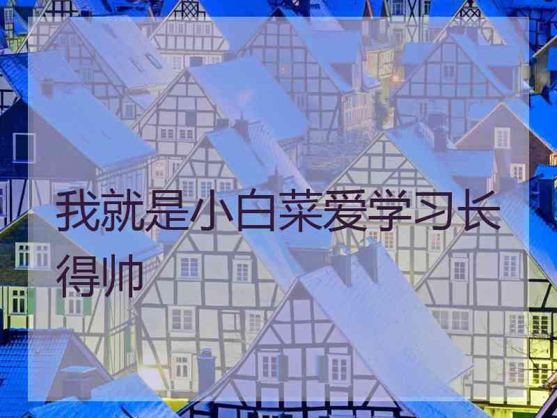 我就是小白菜爱学习长得帅