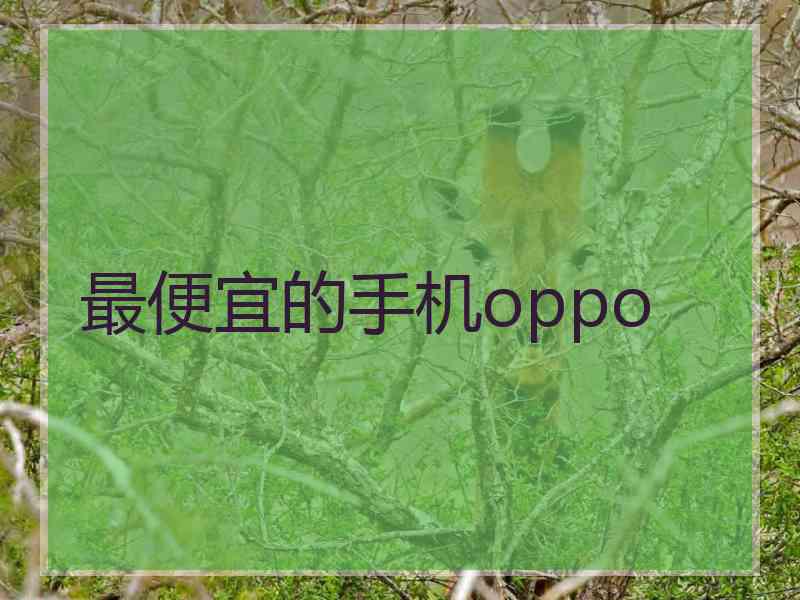 最便宜的手机oppo