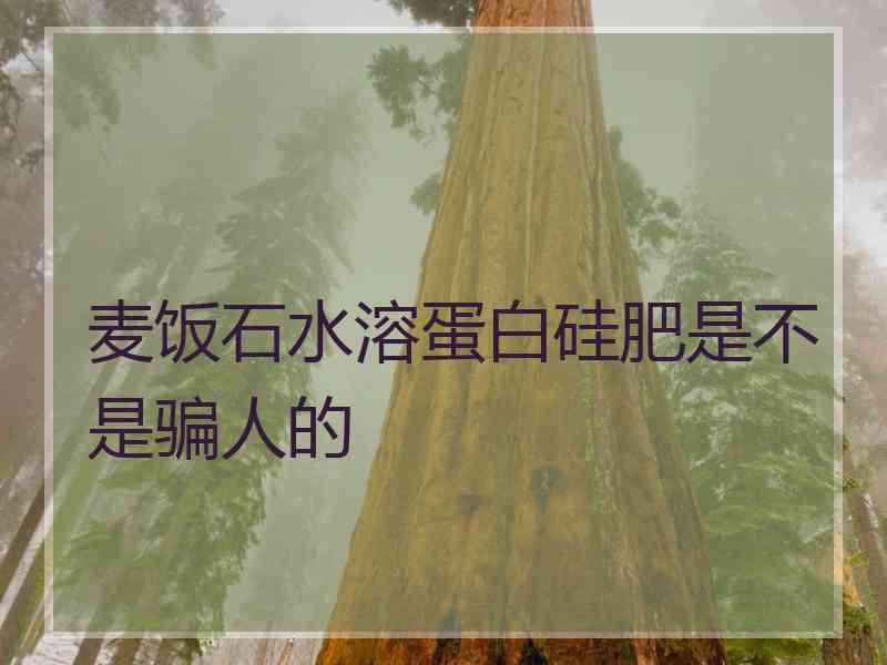 麦饭石水溶蛋白硅肥是不是骗人的