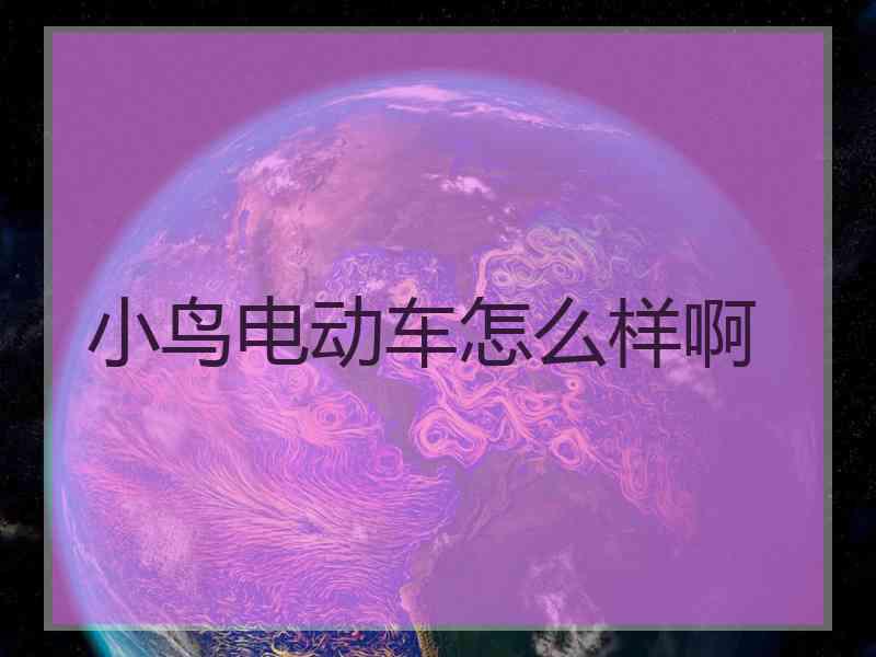 小鸟电动车怎么样啊