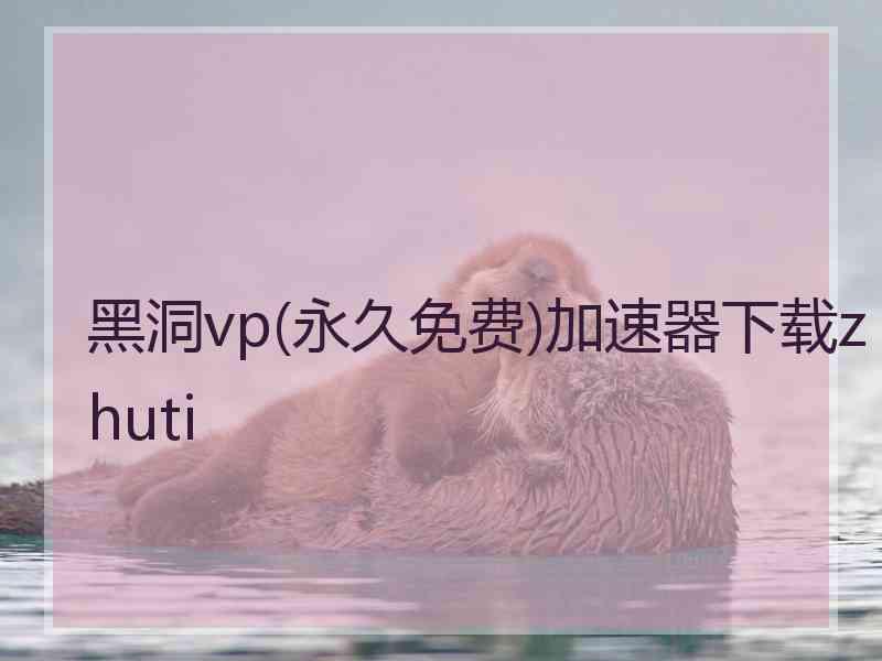 黑洞vp(永久免费)加速器下载zhuti
