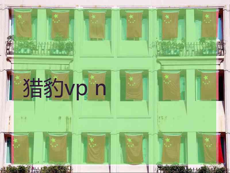 猎豹vp n