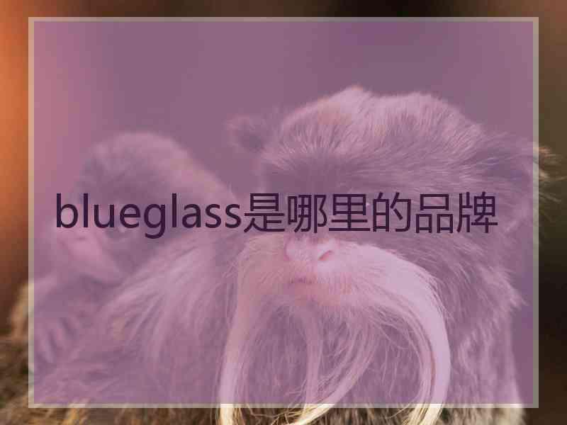 blueglass是哪里的品牌