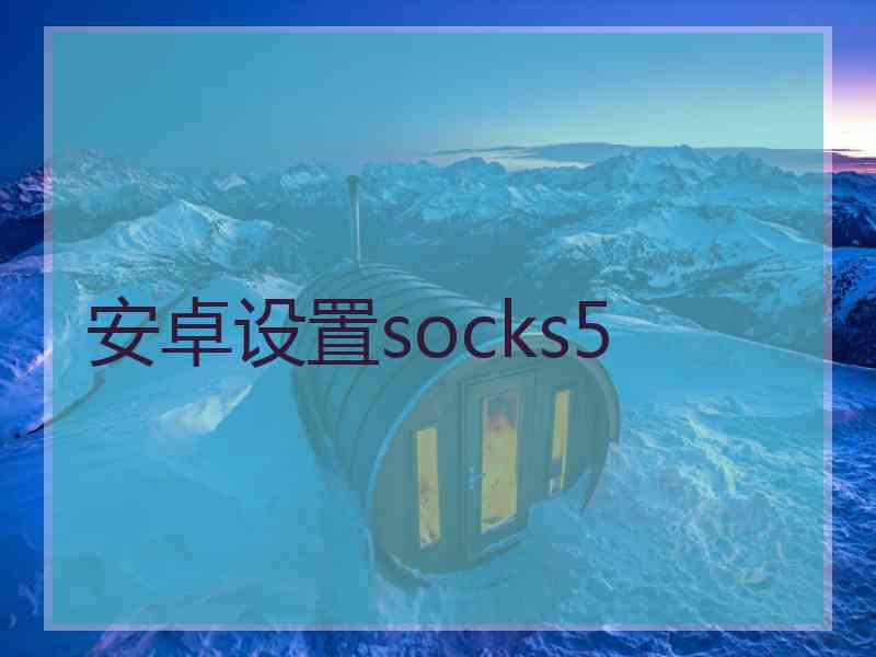 安卓设置socks5