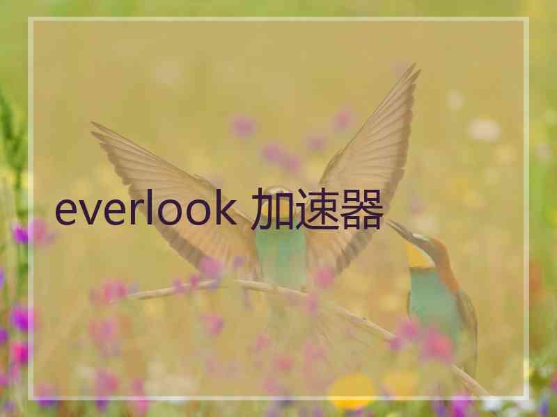 everlook 加速器