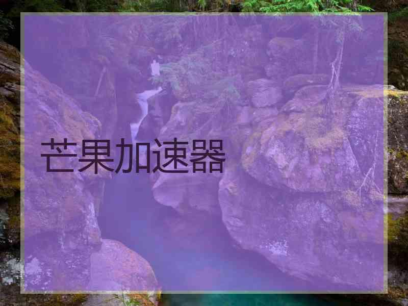 芒果加速器