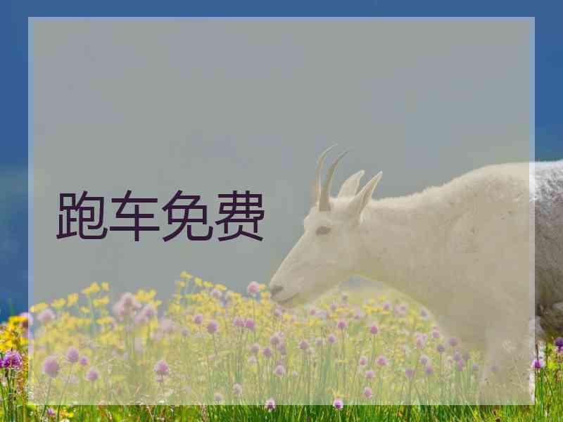 跑车免费