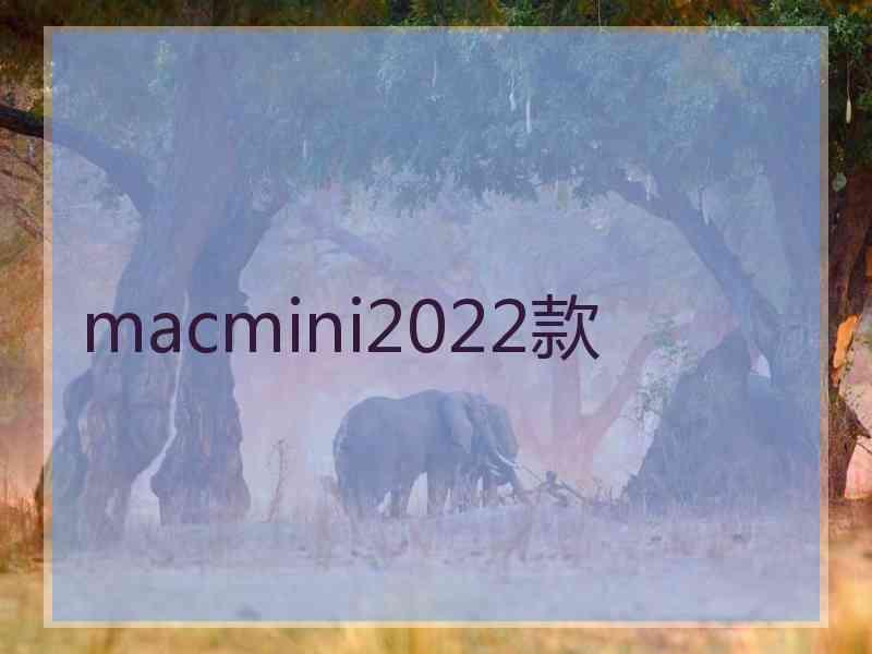 macmini2022款
