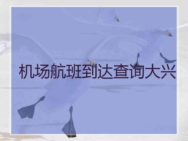 机场航班到达查询大兴