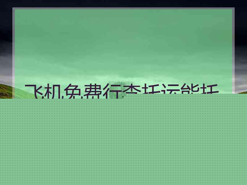 飞机免费行李托运能托运多大