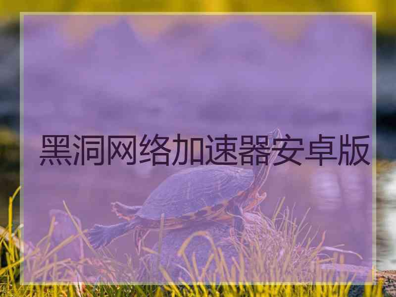 黑洞网络加速器安卓版