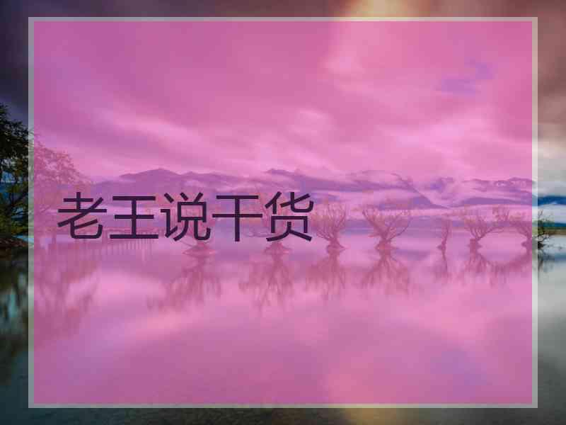 老王说干货