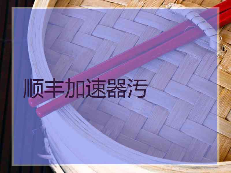 顺丰加速器汚
