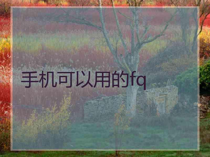 手机可以用的fq