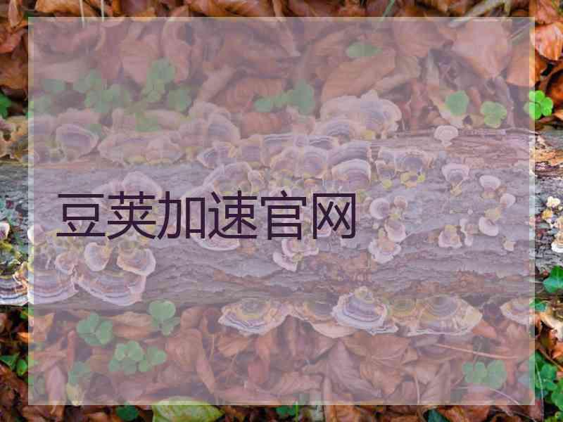 豆荚加速官网