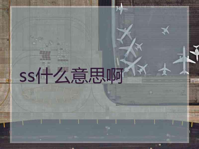ss什么意思啊