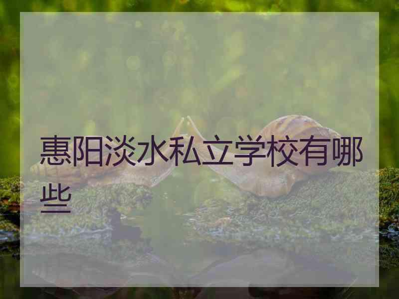 惠阳淡水私立学校有哪些