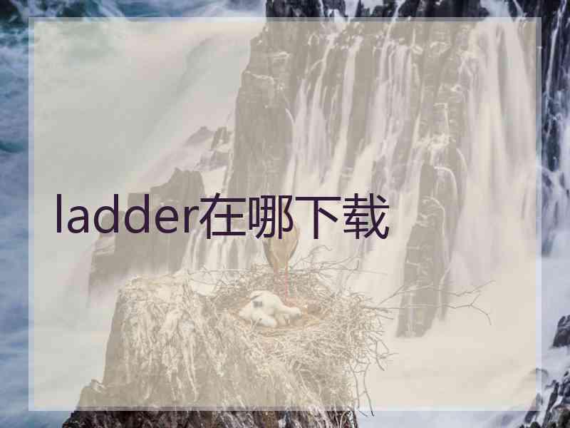 ladder在哪下载