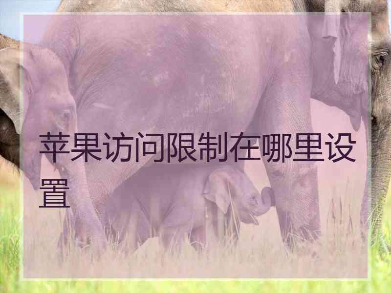 苹果访问限制在哪里设置