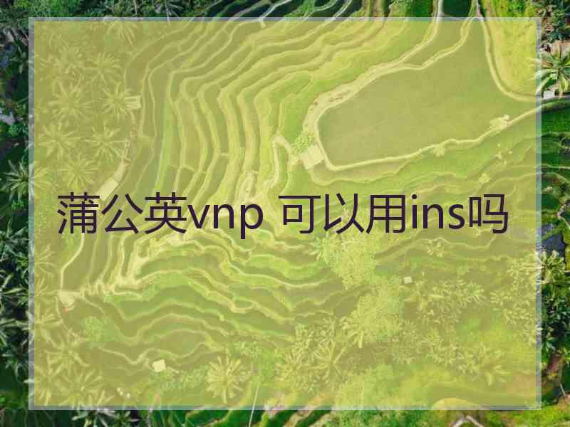 蒲公英vnp 可以用ins吗