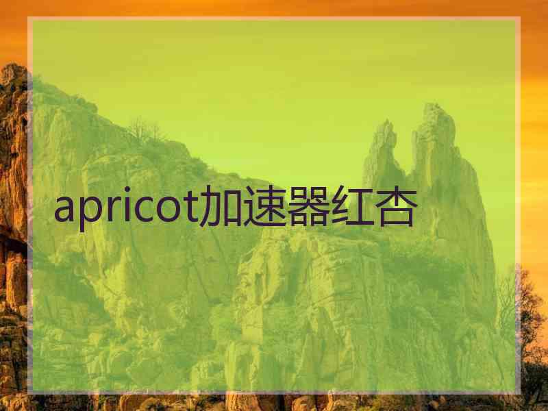 apricot加速器红杏