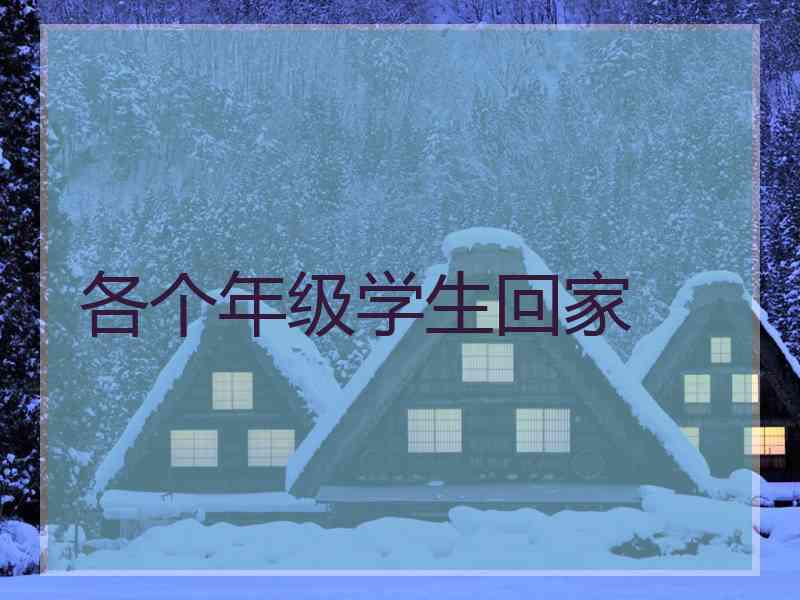 各个年级学生回家