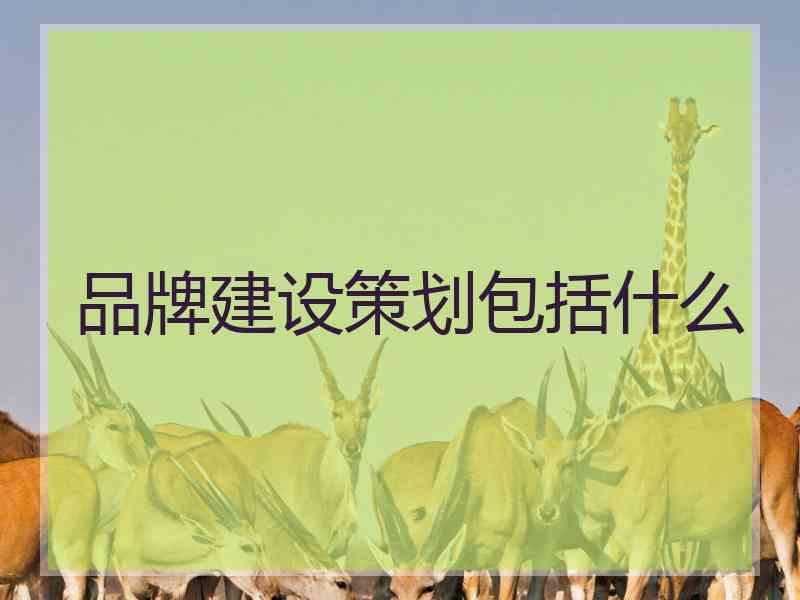 品牌建设策划包括什么