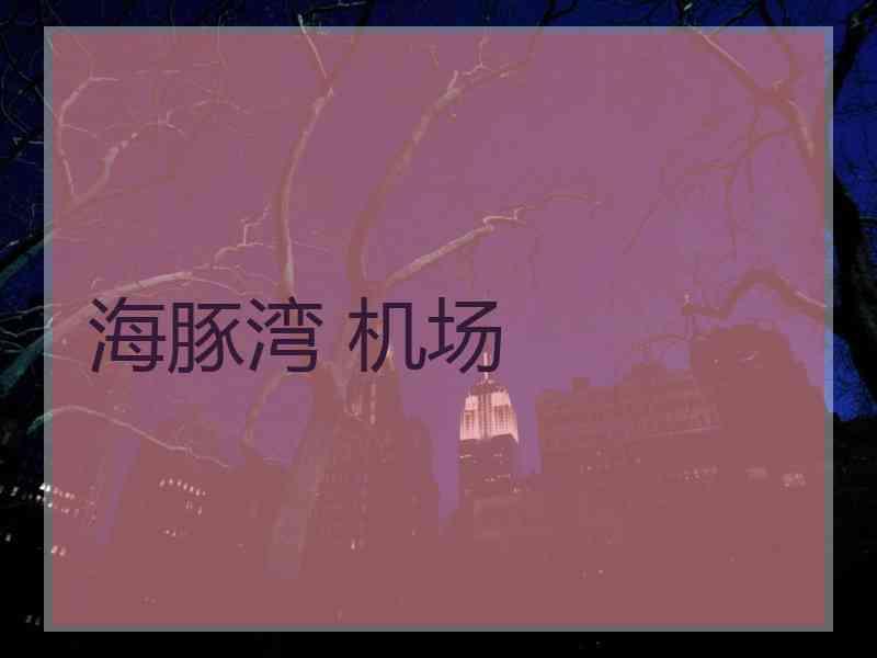 海豚湾 机场
