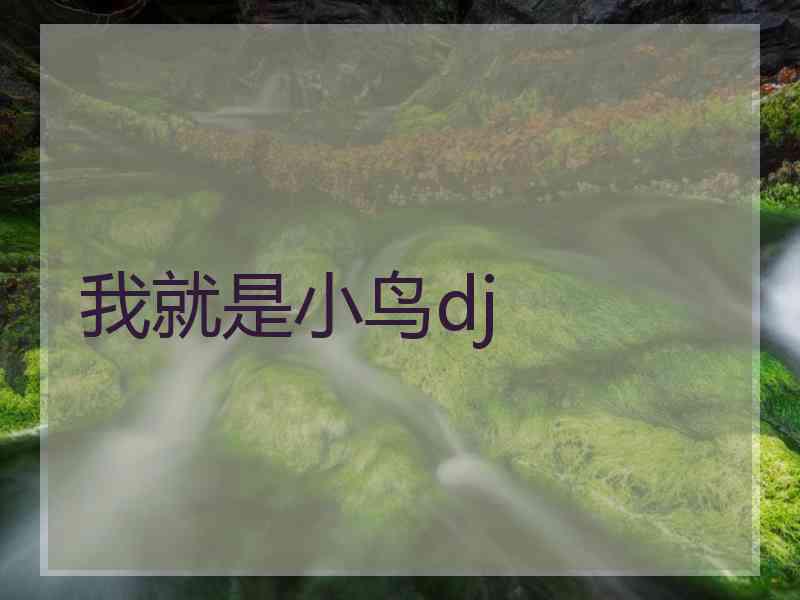 我就是小鸟dj