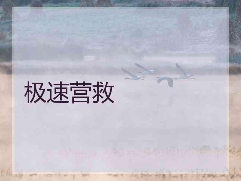 极速营救