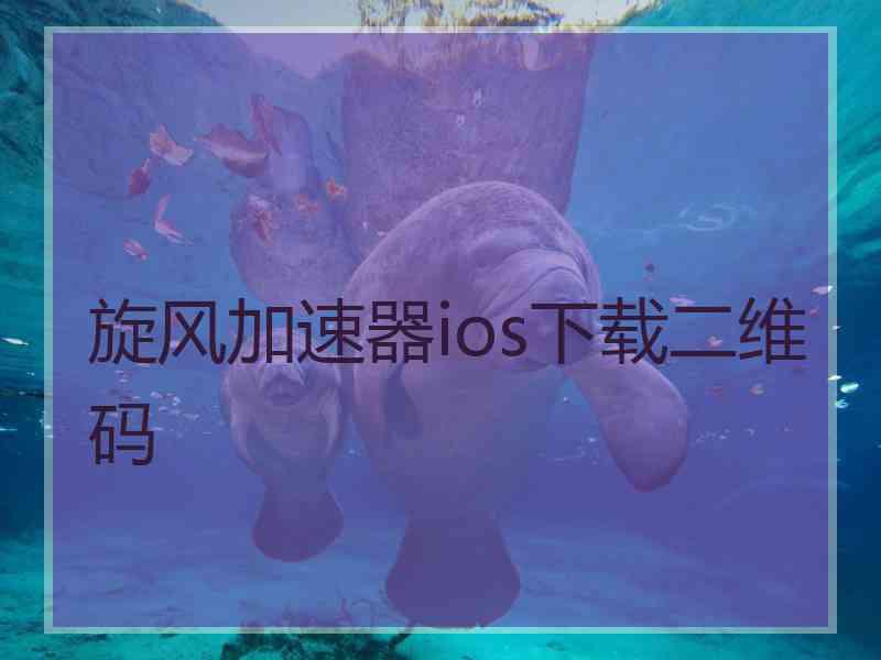 旋风加速器ios下载二维码