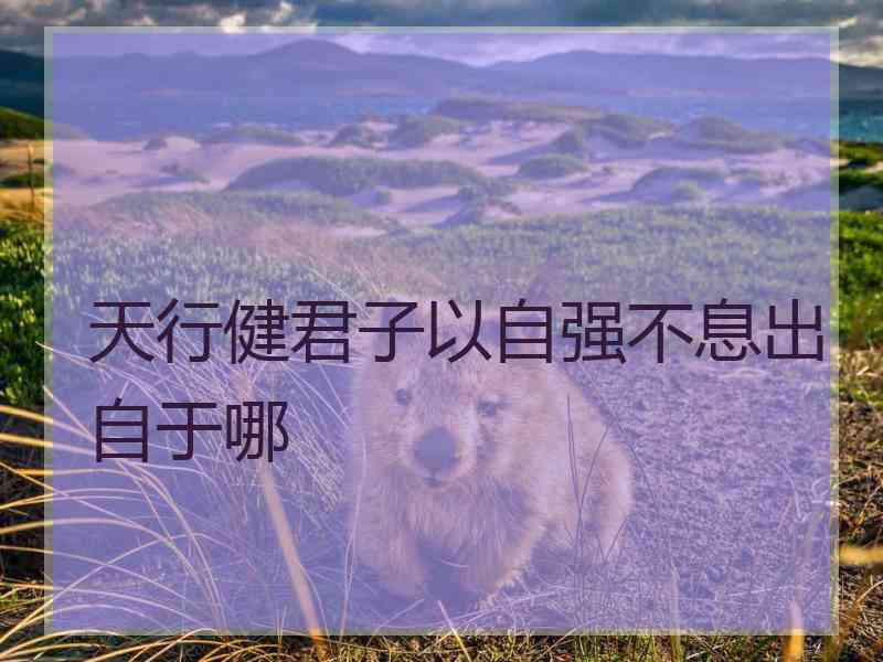 天行健君子以自强不息出自于哪